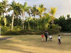 -西双版纳融创皇冠假日度假酒店