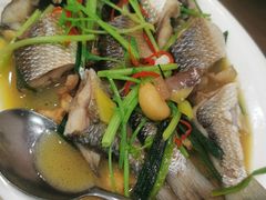 煮乌尖-天天海鲜城·海鲜大排档(新溪店)