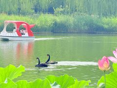-西海子公园