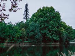 -东湖落雁景区