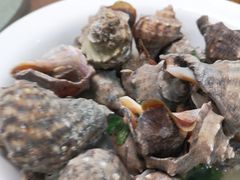 -渔家乐小海鲜(皇姑店)