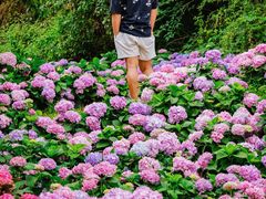-名花谷生态庄园