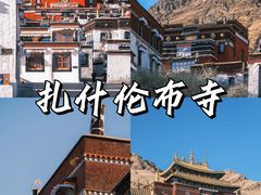 -布达拉宫
