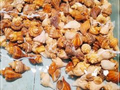 -九號渔港·蒸汽海鲜·粤菜茶点(八卦岭店)