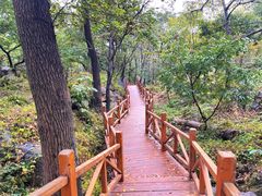 -大岭沟猕猴桃谷风景区