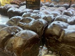 -UH祐禾(上海五角场万达店)