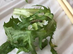 -包龙府灌汤包子(开封府店)