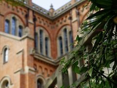 -上海佘山国家森林公园西佘山园