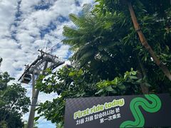 -圣淘沙天际线斜坡滑车