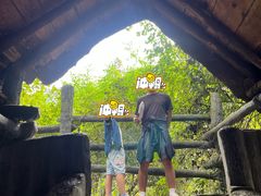 -石台牯牛降景区