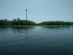 -白洋淀景区