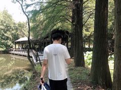 -东湖落雁景区