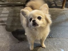 -慧娟面馆·餐厅(望江路店)