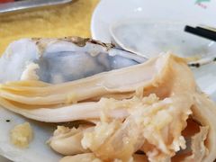 象拔蚌-蚝专家(北滘店)