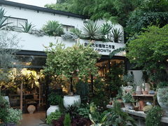 -自由生长植物工作室(深港花卉中心店)