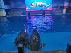-锦艺城海洋馆