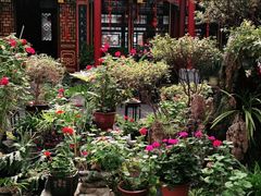 -白家大院·王府宫廷菜(苏州街店)