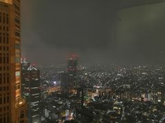 -东京都厅舍