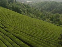 -敬亭山风景名胜区