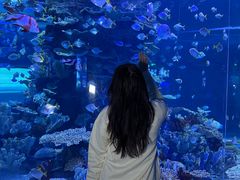 -左海海底世界