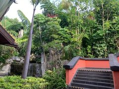 -西双版纳洲际度假酒店兰吧