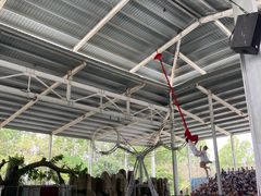 -泉州海丝野生动物世界