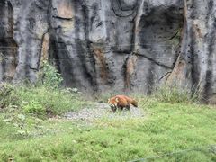 -武汉动物园