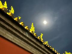 -西安华清御汤酒店