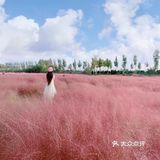 济南最大免费粉黛子