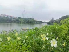 -泉州迎宾馆