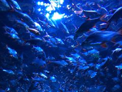 -成都浩海立方海洋公园