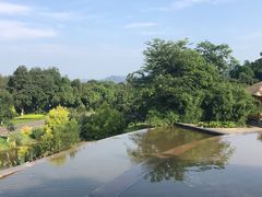 -张坝桂圆林公园
