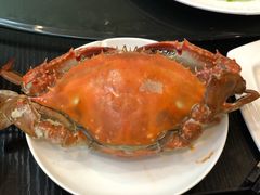 -昌顺园·养马岛渔家海鲜餐厅·老鲁菜(龙湖店)