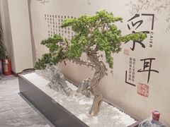 -悦享采耳·洗头头疗·推拿SPA(杭州店)