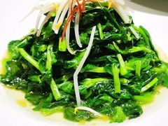 火丝银芽豆苗-江南雅厨(李公堤店)
