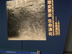 -湖南省地质博物馆