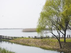 -苏州太湖湖滨国家湿地公园