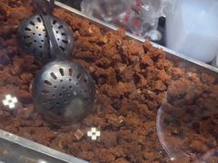 -乔波食品(杜桥中心菜场店)
