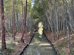 -同里国家湿地公园