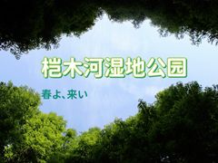 -桤木河湿地公园