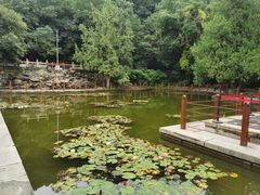 -香山公园
