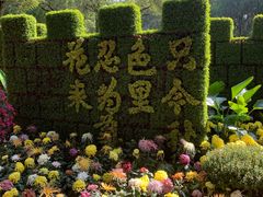 -汇龙潭