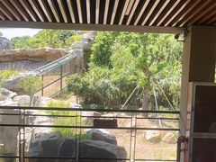 -宁波野生动物园