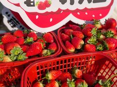 -菲尔雪CAKE(九方店)