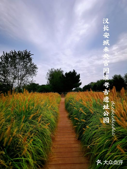 汉长安城未央宫国家考古遗址公园图片