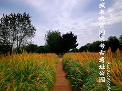 -汉长安城未央宫国家考古遗址公园