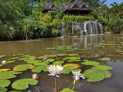 -中国科学院西双版纳热带植物园