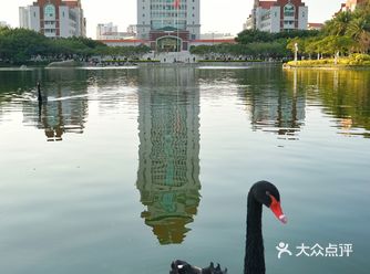 如果把全中国的大学算作景点 厦大的热度甚至要超过清北