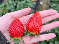 -溪悦渔庄(九龙湖店)