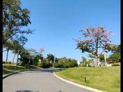 -白石龙音乐公园
